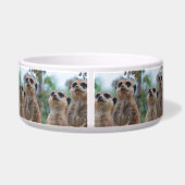 Meerkat_2015_0410 ボウル (裏面)