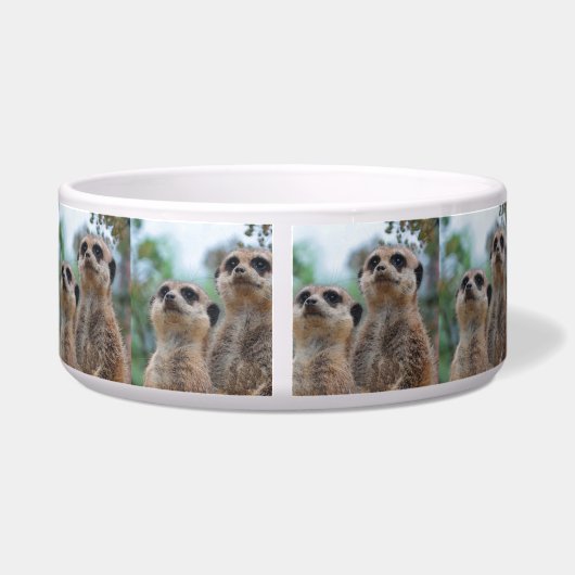 Meerkat_2015_0410 ボウル (裏面)