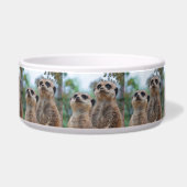 Meerkat_2015_0410 ボウル (正面)