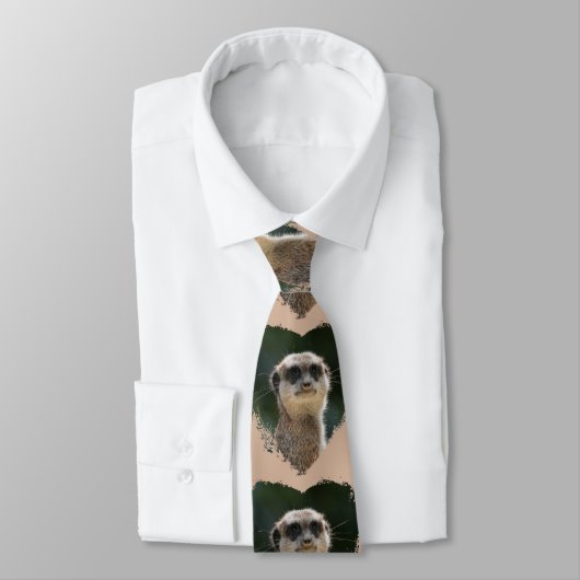 Meerkat_2015_0701 ネクタイ (タイ)