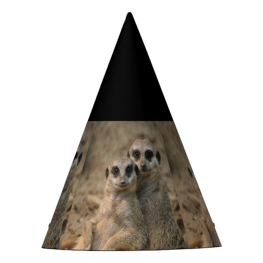 Meerkat_20170901_by_JAMFoto パーティーハット (正面)
