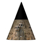 Meerkat_20170901_by_JAMFoto パーティーハット (左)