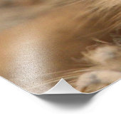 Meerkat_20170901_by_JAMFoto フォトプリント (角)