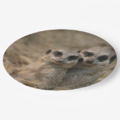 Meerkat_20170901_by_JAMFoto ペーパープレート (アングル)