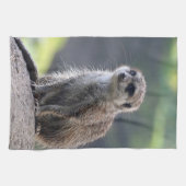 Meerkat_20171101_by_JAMFoto キッチンタオル (横)