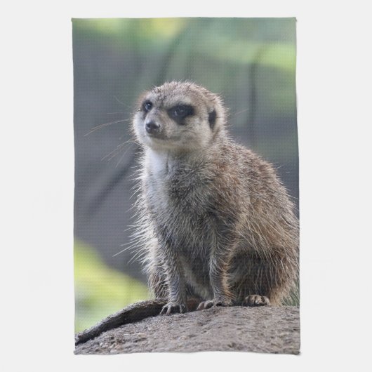 Meerkat_20171101_by_JAMFoto キッチンタオル (縦)