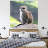 Meerkat_20171101_by_JAMFoto キャンバスプリント (インサイチュ (寝室))