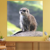 Meerkat_20171101_by_JAMFoto キャンバスプリント (インサイチュ (リビング))