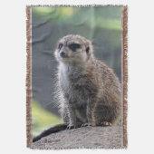 Meerkat_20171101_by_JAMFoto スローブランケット (正面縦)