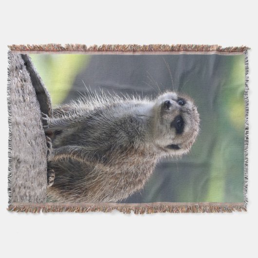Meerkat_20171101_by_JAMFoto スローブランケット (正面)