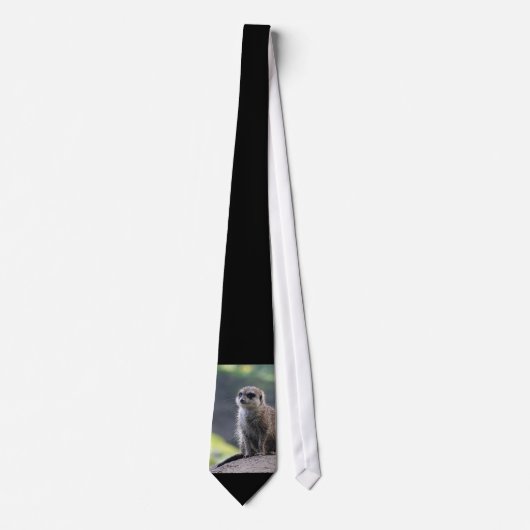 Meerkat_20180701_by_JAMFoto ネクタイ (正面)