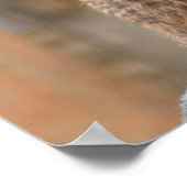 Meerkat Attentionポスター ポスター (角)