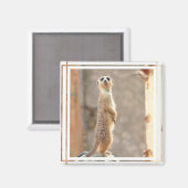Meerkat Attention Magnet マグネット (正面/裏面)