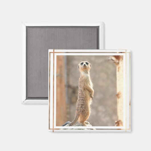 Meerkat Attention Magnet マグネット (正面/裏面)
