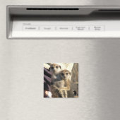 Meerkat Hug a Friend – マグネット (インサイチュ (食洗機))