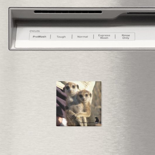 Meerkat Hug a Friend – マグネット (インサイチュ (食洗機))