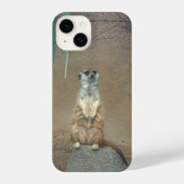 Meerkat iPhone Case iPhoneケース (裏面)