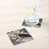 Meerkat Mumと彼女の子供、紙パーティーコースター スクエアペーパーコースター (インサイチュ)