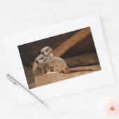 Meerkat Rectangleステッカー 長方形シール (封筒)