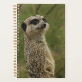 Meerkat Spiral Planner and Notebook プランナー手帳