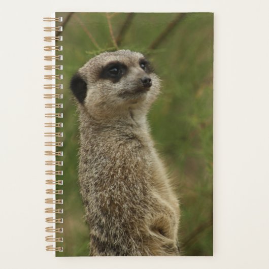Meerkat Spiral Planner and Notebook プランナー手帳 (正面)