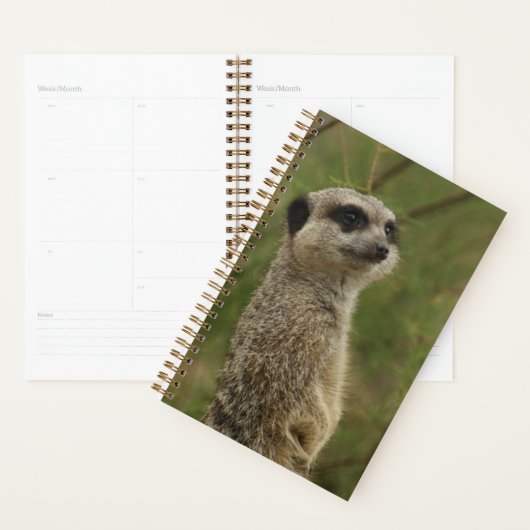 Meerkat Spiral Planner and Notebook プランナー手帳 (ディスプレー)