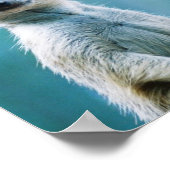 Meerkat Staredown – ポスター (角)