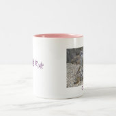 Meerkatsの規則のマグ ツートーンマグカップ (中央)