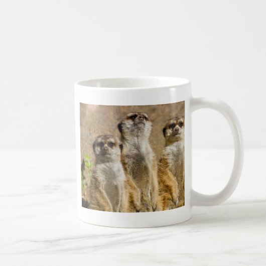 Meerkats コーヒーマグカップ (右)