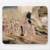 Meerkats マウスパッド (正面)
