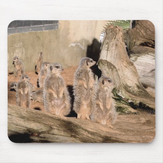 Meerkats マウスパッド (正面)