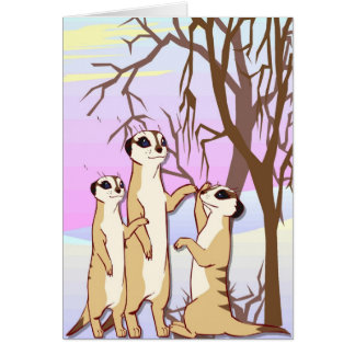 meerkats、雪の家族に会って下さい