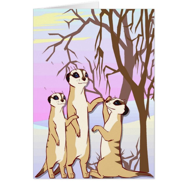 meerkats、雪の家族に会って下さい (正面)