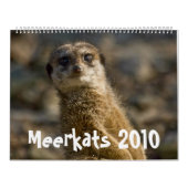Meerkats 2010のカレンダー カレンダー (カバー)