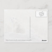 Meerkcat (0447)はがき ポストカード (裏面)