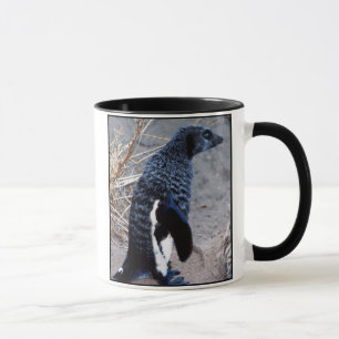 Meerpenguinのマグ マグカップ