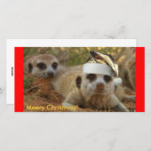 Meery Christmas Zaphod – フォトカード シーズンカード (正面/裏面)