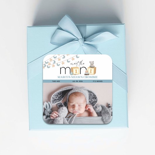 Meet The Mini Blue Baby Stickers スクエアシール