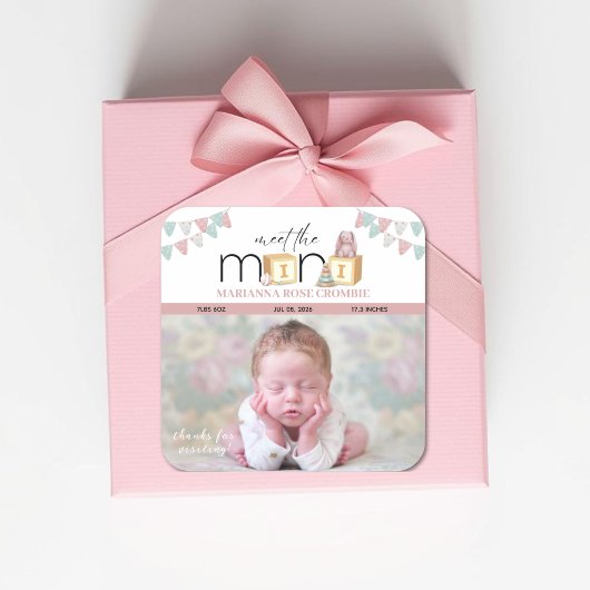 Meet The Mini Pink Baby Stickers スクエアシール