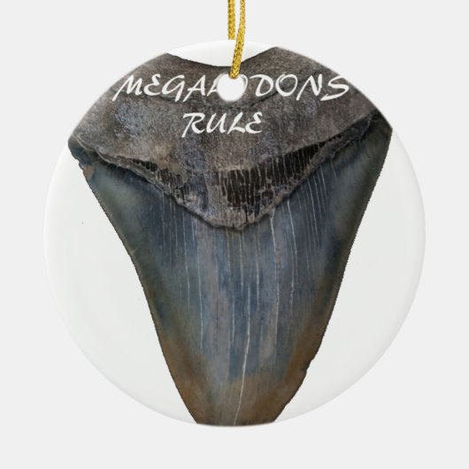 Megalodonの鮫の歯 セラミックオーナメント (正面)