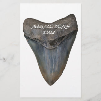 Megalodonの鮫の歯 便箋
