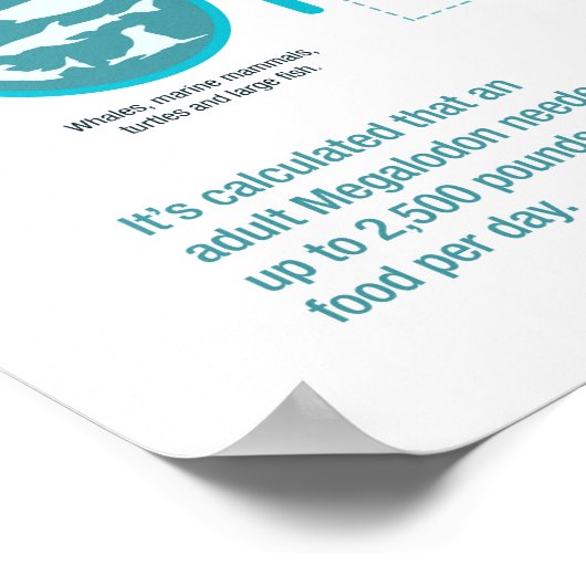 Megalodon Shark – キラーの事実!24x36インチ ポスター (角)