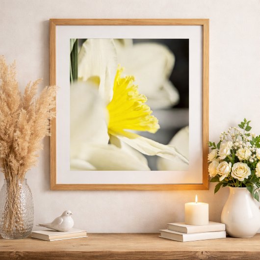 Meggedooによるエレガントな水仙の花の写真撮影 ポスター