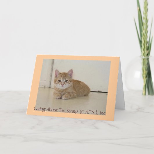 Meggie Notecards カード (正面)