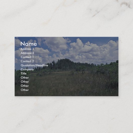 Melaleuca 名刺 (正面)