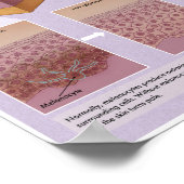 Melalogic Vitiligoメディカルポスター ポスター (角)