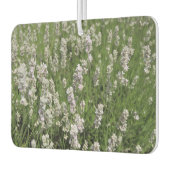 Melissa Lavender カーエアーフレッシュナー (左)