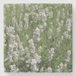 Melissa Lavender ストーンコースター