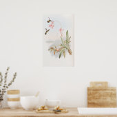 Mellisuga Minima Hummingbirds by John Gould ポスター (キッチン)