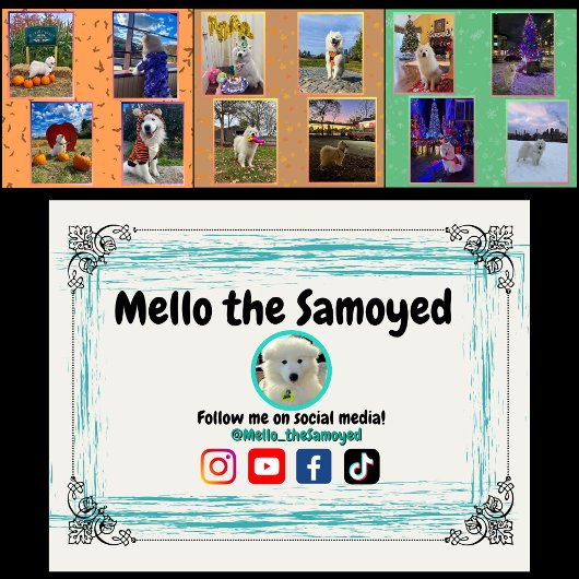 Mello the Samoyed 2026 Calendar カレンダー